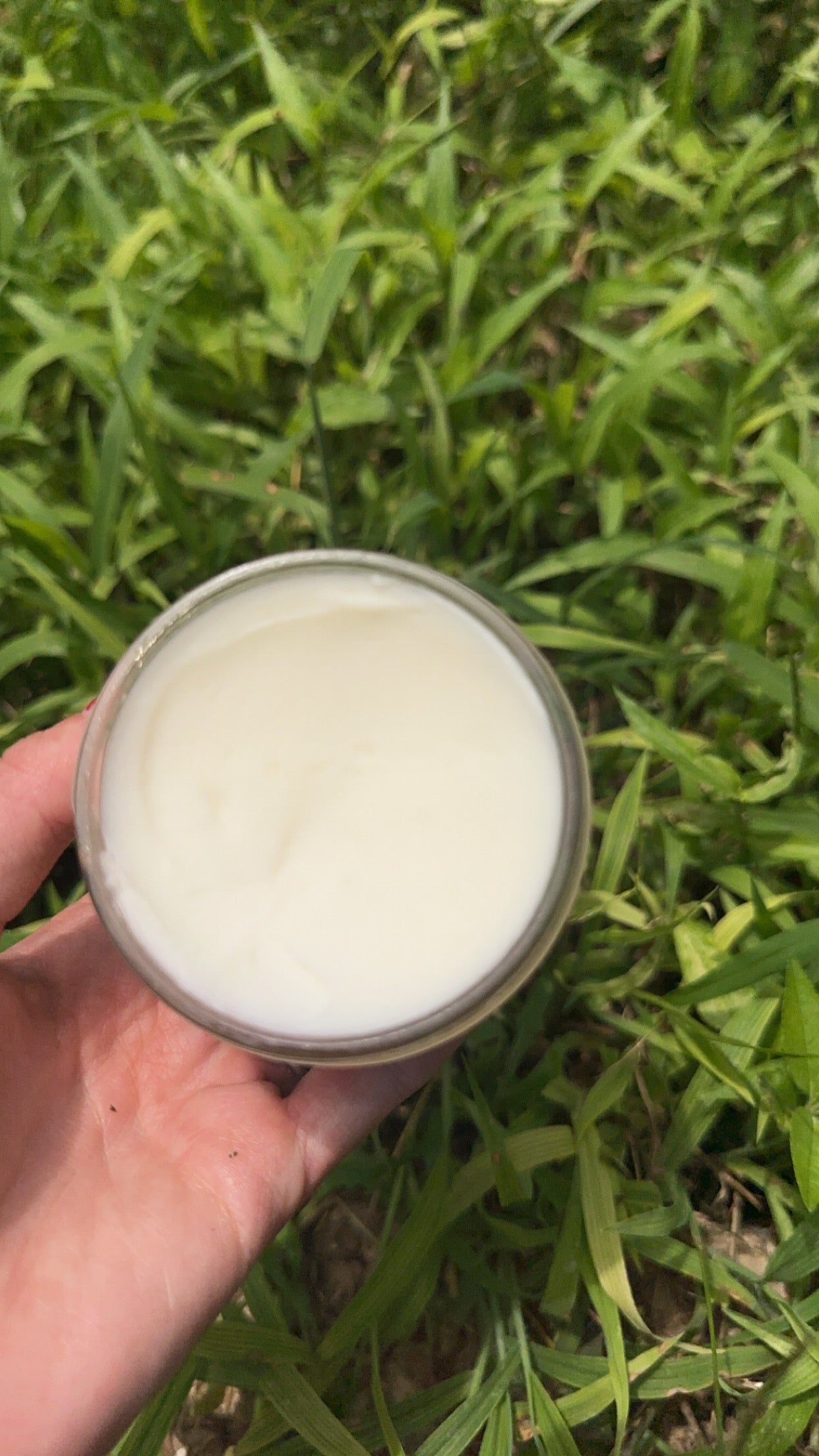 Plantain Body Butter 1/2