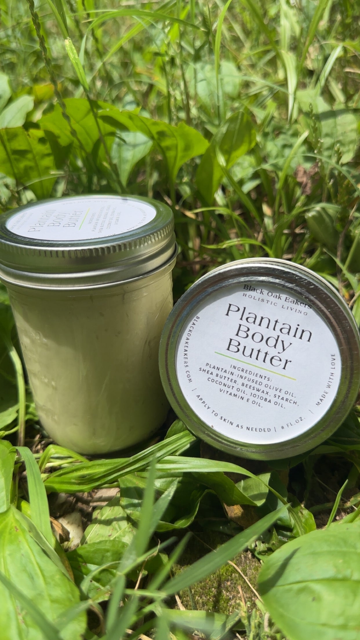 Lavender Plantain Body Butter