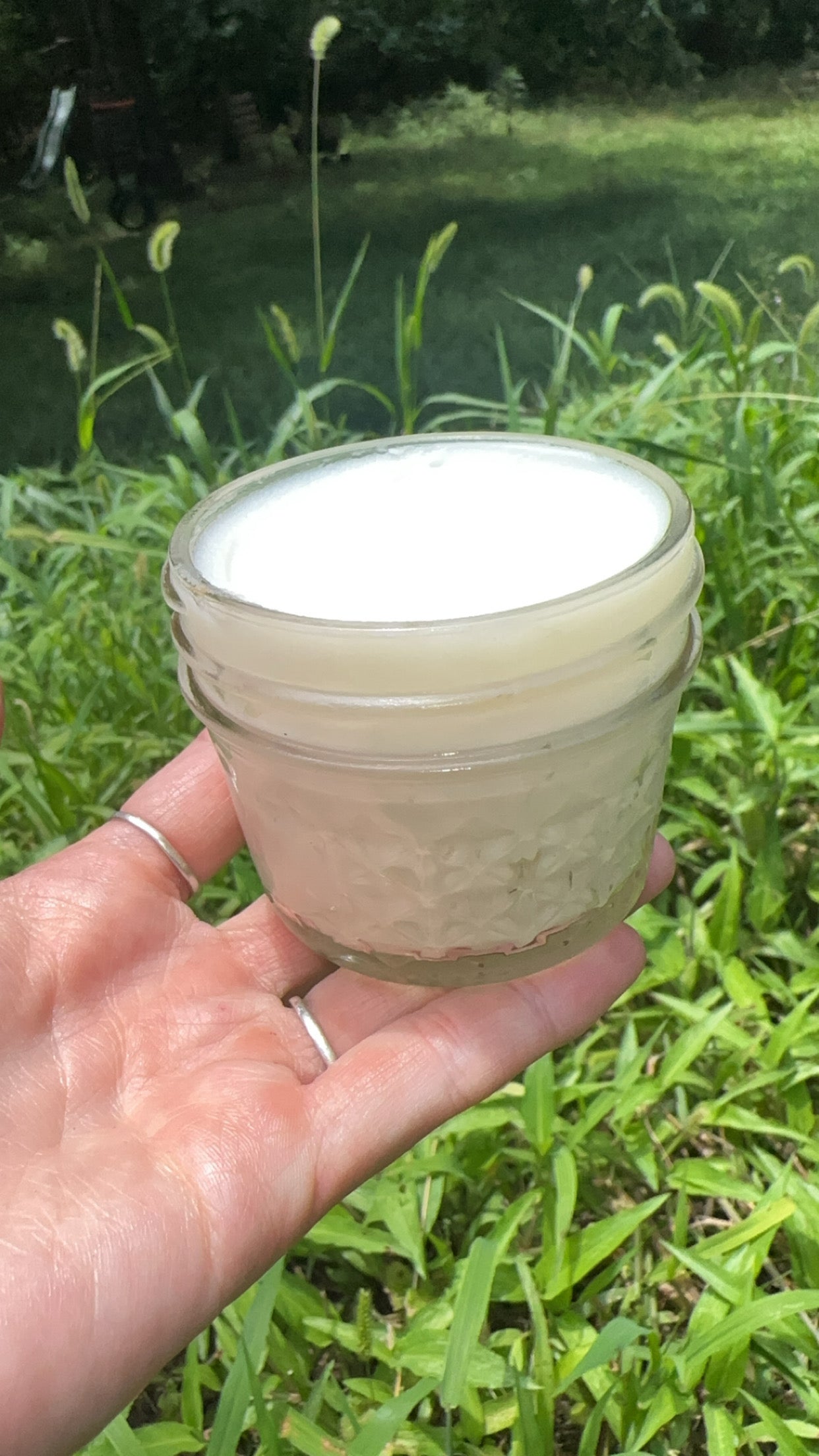 Dandelion Moisturizer