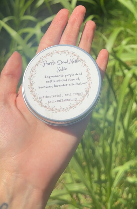Purple Dead Nettle Salve