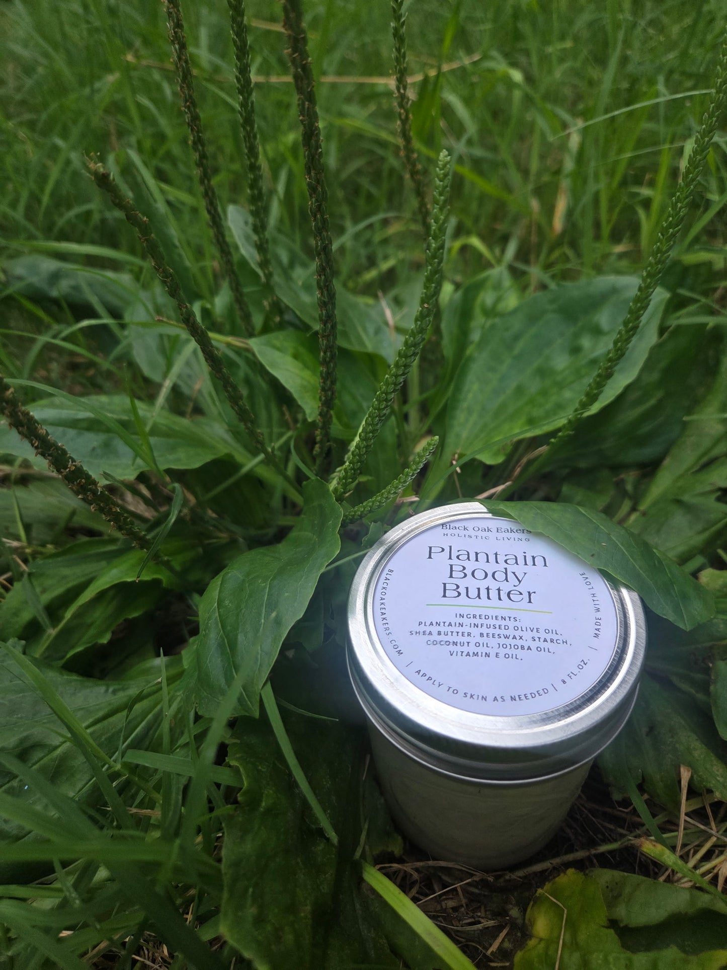 Plantain Body Butter