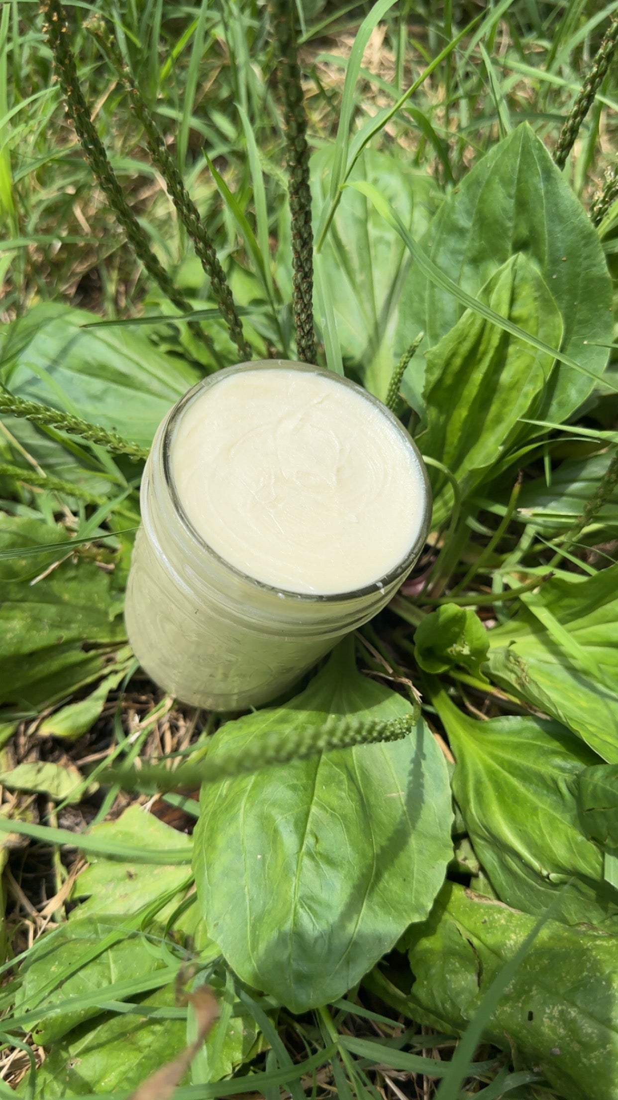 Plantain Body Butter